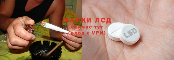 сатива Ладушкин