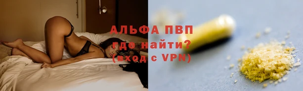 прущие грибы Лагань