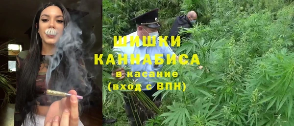 сатива Ладушкин