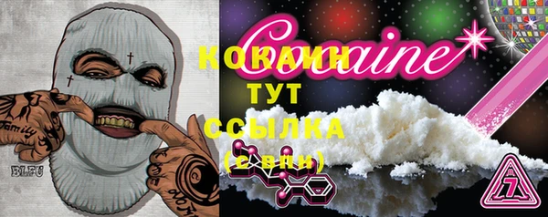 прущие грибы Лагань