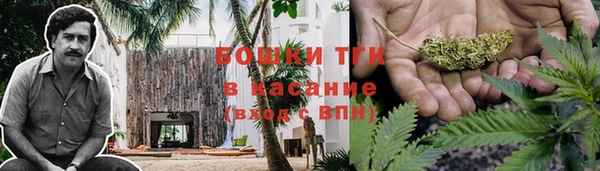 прущие грибы Лагань